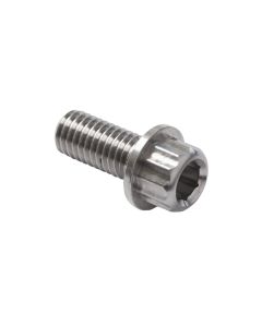 Titanium Screw, Conventional Sliding Dropout: Choose Style