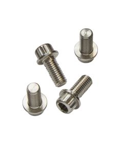 Titanium Screws, Conventional Sliding Dropouts: Choose Style