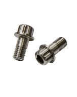 Titanium Screws, Dedicated 12 mm Flat Sliding Dropout: Choose Style